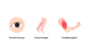 Animerade bilder på 3 olika symtom för sjukdomen MS såsom nedsatt syn, avdomningar och muskelsvaghet.